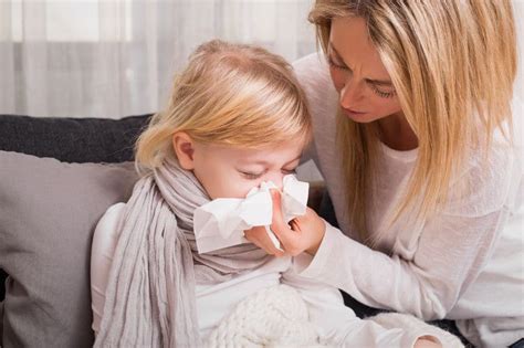 Cómo Evitar Gripes Y Resfriados En La Temporada De Frío Etapa Infantil