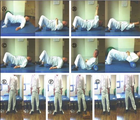 Exercise Program For Trunk Control Exercise Group And General Balance