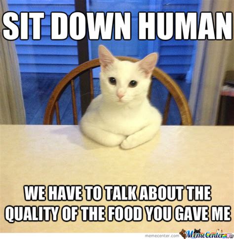 White Cat Memes Best Collection Of Funny White Cat Pictures