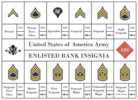 Us Military Enlisted Rank Insignia All In One Photos