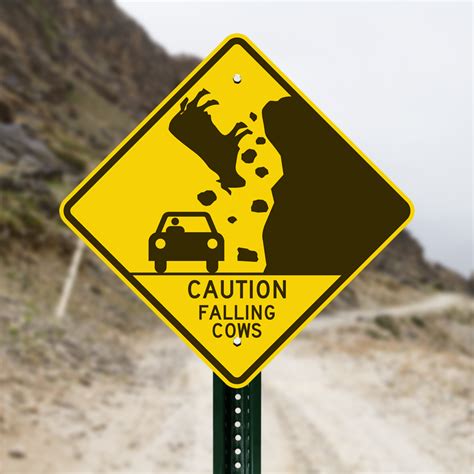Caution Falling Cows Sign Funny Road Sign Sku K 9916