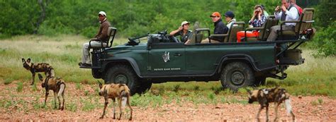 South Africa Safaris Safaris In South Africa