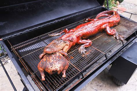 How To Cook A Whole Alligator Meadow Creek Pr60t Pig Roaster Demo