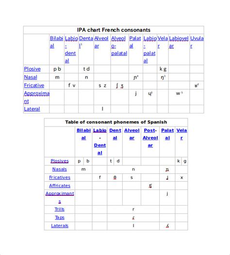 Free 8 Ipa Chart Templates In Pdf Ms Word