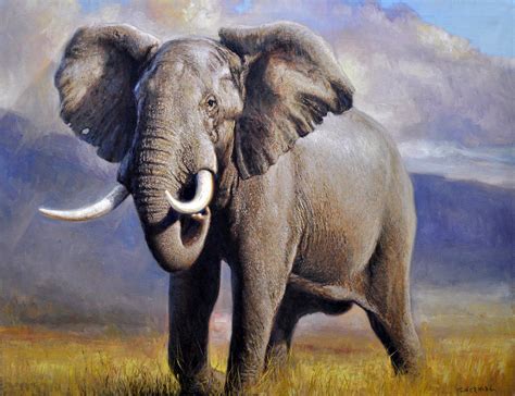 African Elephant Painting By Gabriel Hermida Fine Art America