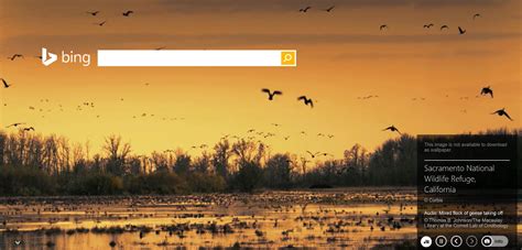 Watch And Listen To The Bing Homepage