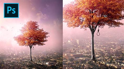 Photoshop Effects Make Fantasy Photos Big Tree Photo Manipulation
