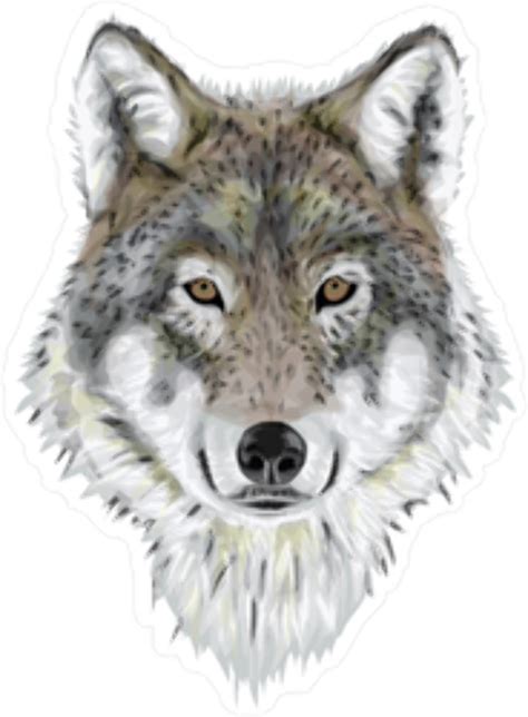 Download High Quality Wolf Clipart Realistic Transparent Png Images