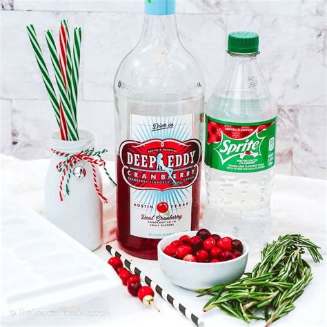 2 ingredient christmas cranberry vodka spritzer the soccer mom blog