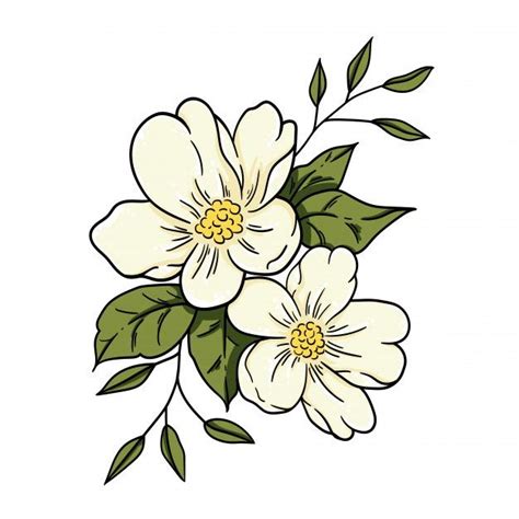 Premium Vector Vector Illustration Jasmine Flower Tutoriales De