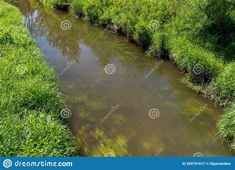 Small Small River Bank In The Summer Stock Image Image Of Landscape
