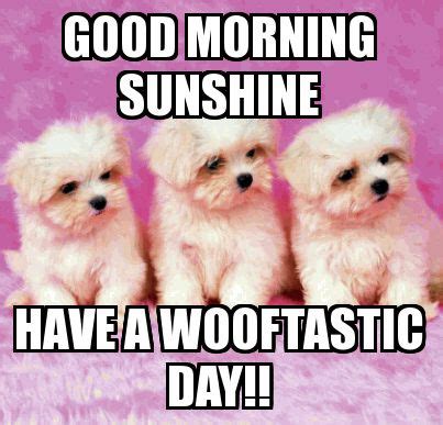 Morning sunshine good morning meme gif. 20 Good Morning Memes to Brighten Up Your Day | SayingImages.com