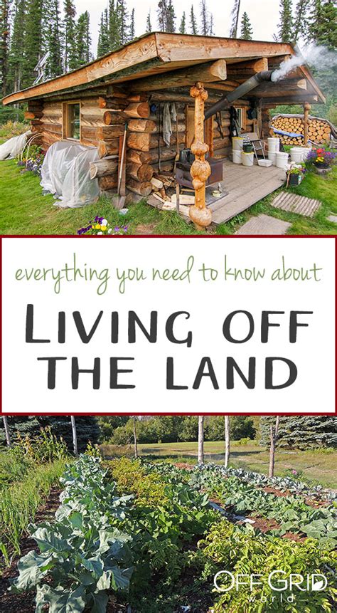 Everything You Need To Know About Living Off The Land Off Grid World