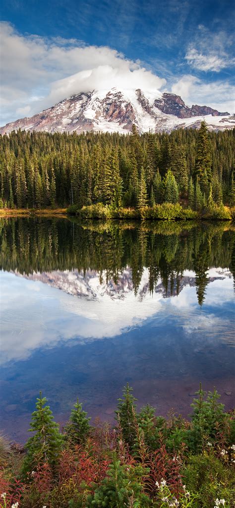 Mirror Lake Wallpaper 4k Green Trees Forest Glacier Mountains
