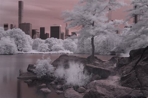 Infrared Photograph Central Park Nyc Smithsonian Photo Contest
