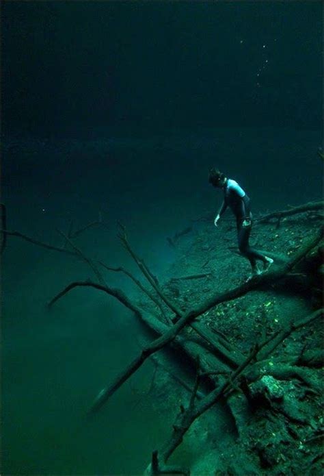 Cenote Angelita Mystical Underwater Mexico Beautiful Places To Travel