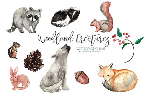 Woodland Animals Watercolor At Explore Collection