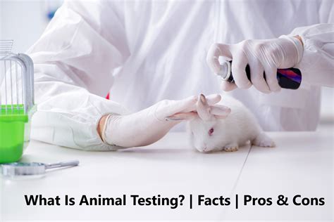 Top 172 Testing Medicine On Animals Pros And Cons