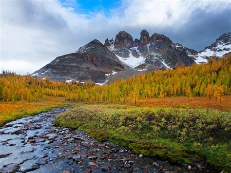 Autumn Beautiful Scenery Stones Mountains Trees Stream 3840x2160