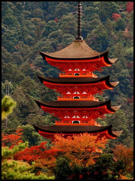 Red Pagoda 1 Japan Japan Travel Pagoda