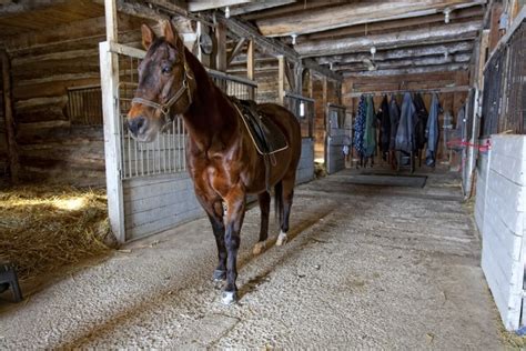 Horseback Riding Ranch Horse Stables Barns And Facilities