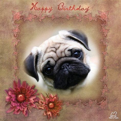 Pug Birthday Card Happy Birthday Pug Cute Happy Birthday Cute Pugs