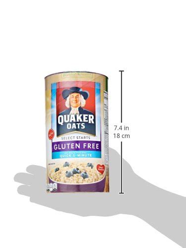 Quaker Oats Gluten Free 1 Minute Quick Oats Breakfast Cereal 18 Oz