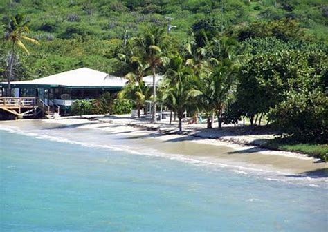 Reef Beach St Croix Us Virgin Islands Duggans Reef Restaurant
