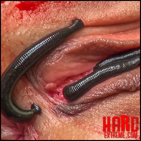 Watch Free Queensect Porn Millipedes New Vip Extreme Video What