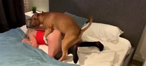Petite Blonde Getting Fucked By Brown Dog Zoo Tube 1