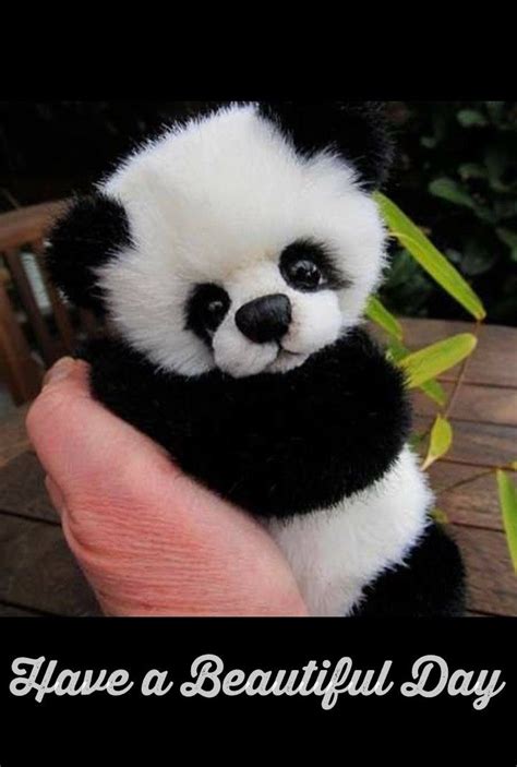 Have A Beautiful Day Panda Good Day