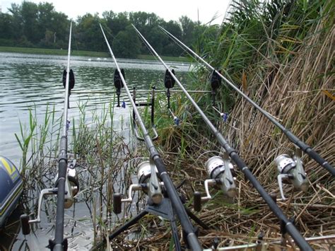 Garantie 2 ans, livraison gratuite en magasin. amiaud rod pod