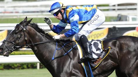 Randwick Tips Big Bets Market Movers And Expert Selections Daily