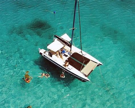 Tripadvisor Barbados Catamaran Turtle En Shipwreck Snorkelcruise