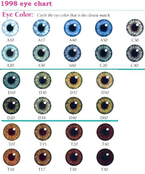 Eye Color Chart Eyes Eyecolors Eye Color Chart Eye Color Facts