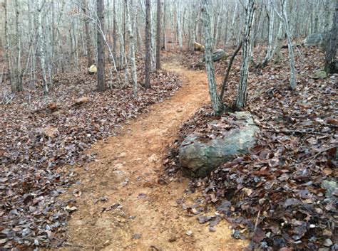 Building cottage forest home house log cabin property real estate roof shed siding. Uwharrie National Forest - Phase I | Long Cane Trails