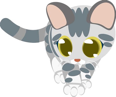Kitten Clipart Free Download Transparent Png Creazilla