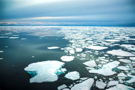 Arctic Sea Ice Winter Peak In 2019 Is Seventh Lowest On Record Carbon