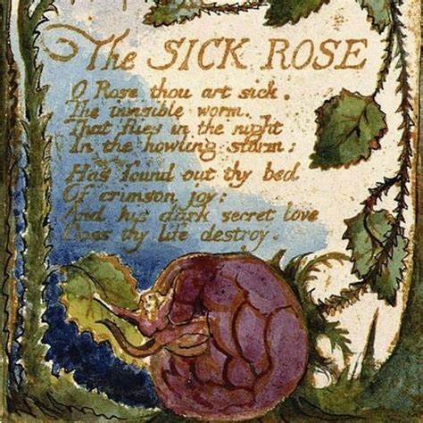 The Sick Rose By William Blake William Blake Writing Art Rose