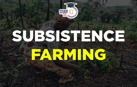 Subsistence Farming Meaning Methods Merits Demerits