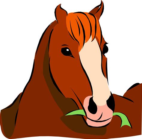 Cute Horse Head Cartoon Clipart Best Clipart Best