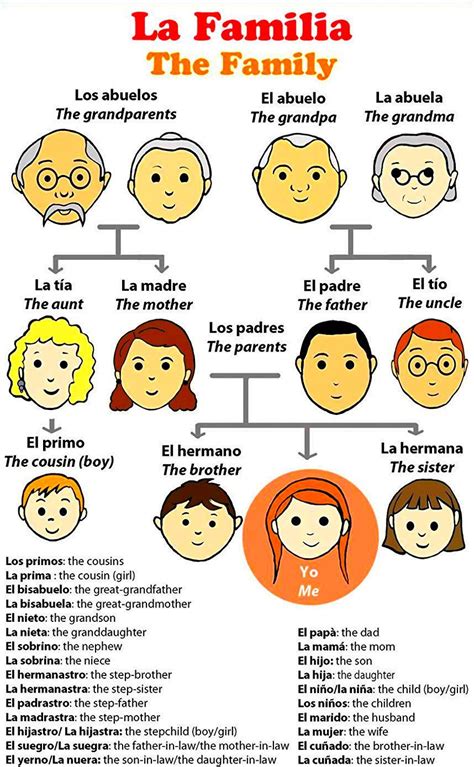 Glosario de los términos relacionados con los vínculos familiares más frecuentes. Miembros de la familia en ingles | Spanish writing, Teach ...