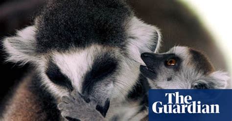 The Week In Wildlife Environment The Guardian