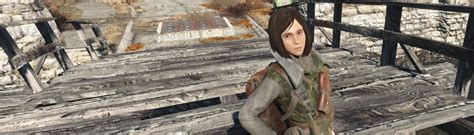 Nat Companion Translation For Cn At Fallout Nexus Mods And Community