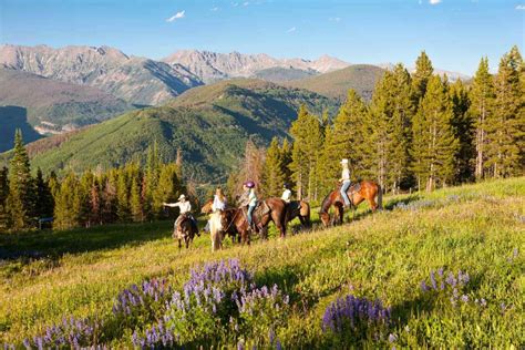 Mountain Horseback Riding Summit Quest