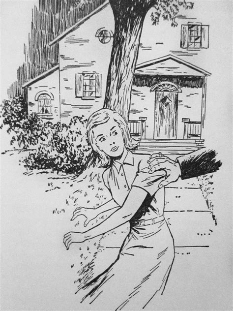 The Secret Of The Wooden Lady Nancy Drew Illustration Nancy Drew Books Nancy Drew Nancy Drew