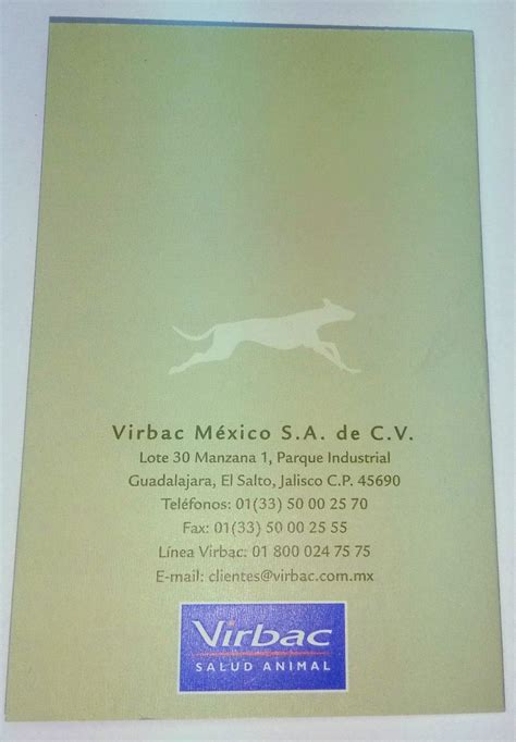 Antes de adoptar o comprar un perro debemos ser conscientes de que tenerlo nos va a suponer un importante desembolso económico. Carnet Cartilla De Vacunación Perro Gato Huron 3 Modelos ...