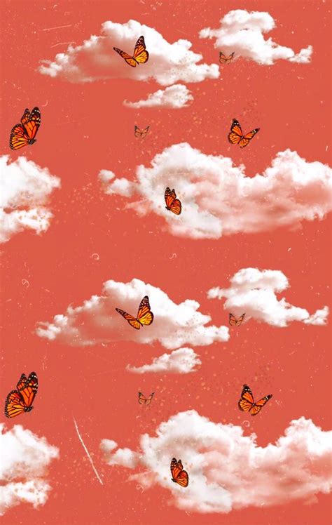 🦋🦋🦋🦋🦋🦋🦋🦋🦋🦋🦋butterflies Aesthetic Pretty Wallpaper Vsco Butterfly Pi