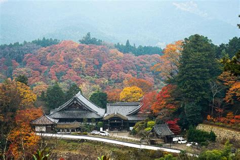 Visiter Nara Et Sa Région Destination Incontournable Du Japon