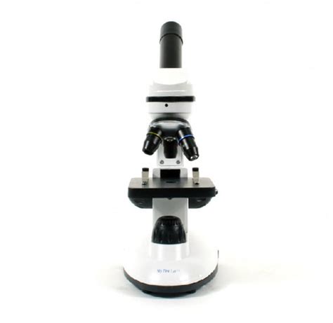 Duo Scope Microscope Exploratorium
